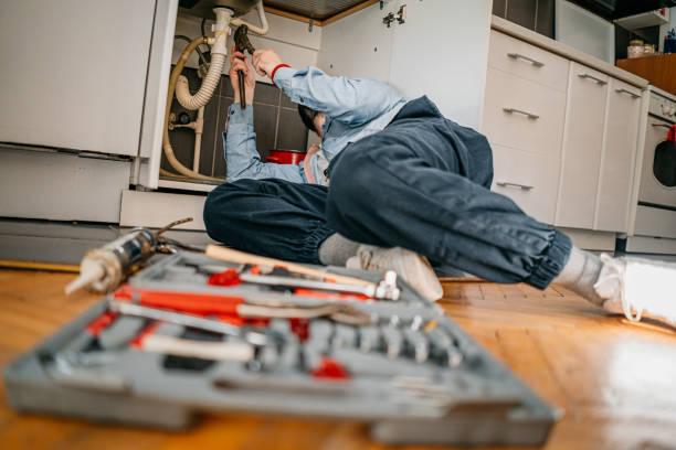 Best Local Plumber Services  in Wardsville, MO