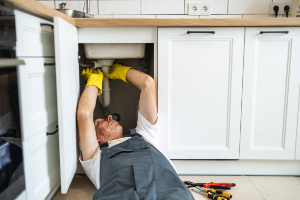 Best Plumbing Inspection Services  in Wardsville, MO
